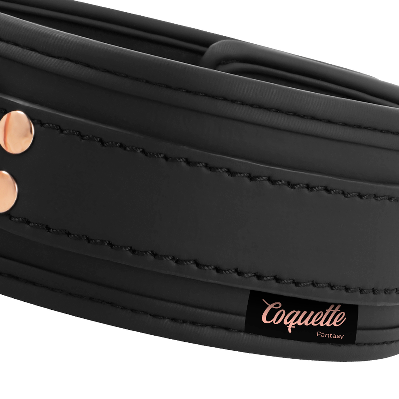 COQUETTE CHIC DESIRE - FANTASY VEGAN LEATHER NECKLACE WITH STRAP AND NEOPRENE LINING