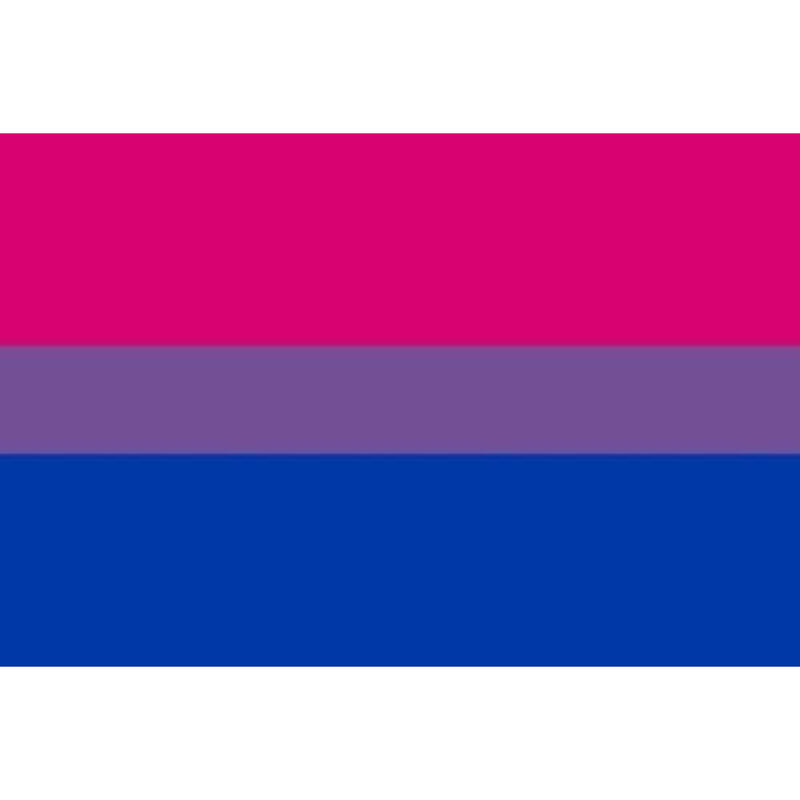 PRIDE - FLAG 90 X 150 BIXESUAL