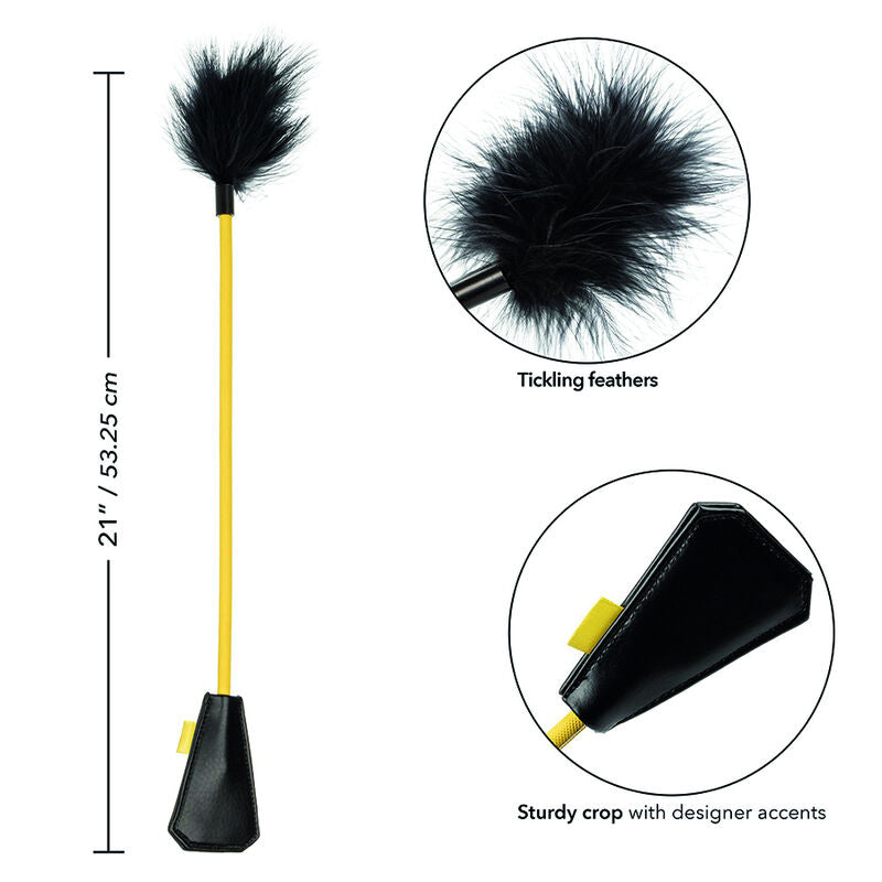 CALEXOTICS - BOUNDLESS FEATHER CULTIVATION