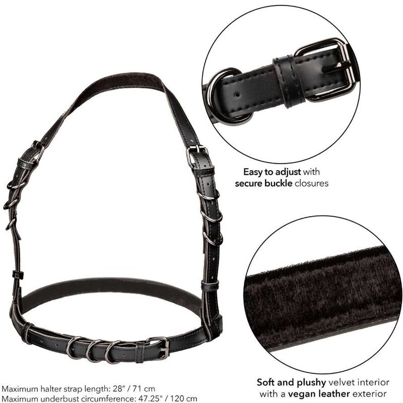 CALEXOTICS - EUPHORIA HATLER HARNESS WITH BUCKLE PLUS SIZE BLACK
