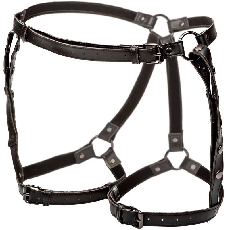 CALEXOTICS - EUPHORIA RIDING THIGH HARNESS PLUS SIZE