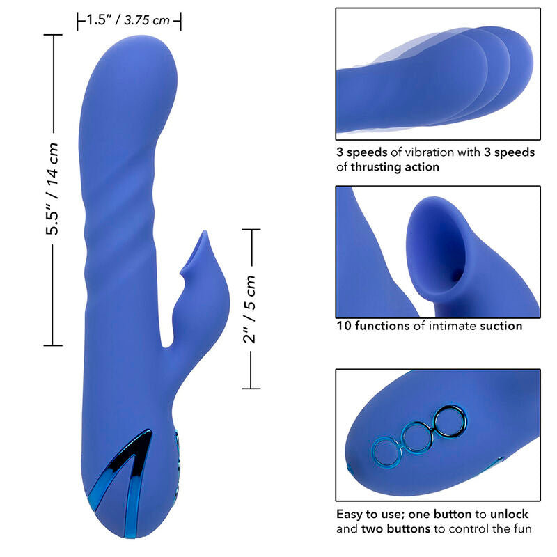 CALEXOTICS - LA LOVE VIBRATOR & SUCKER BLUE BY CALIFORNIA DREAMING