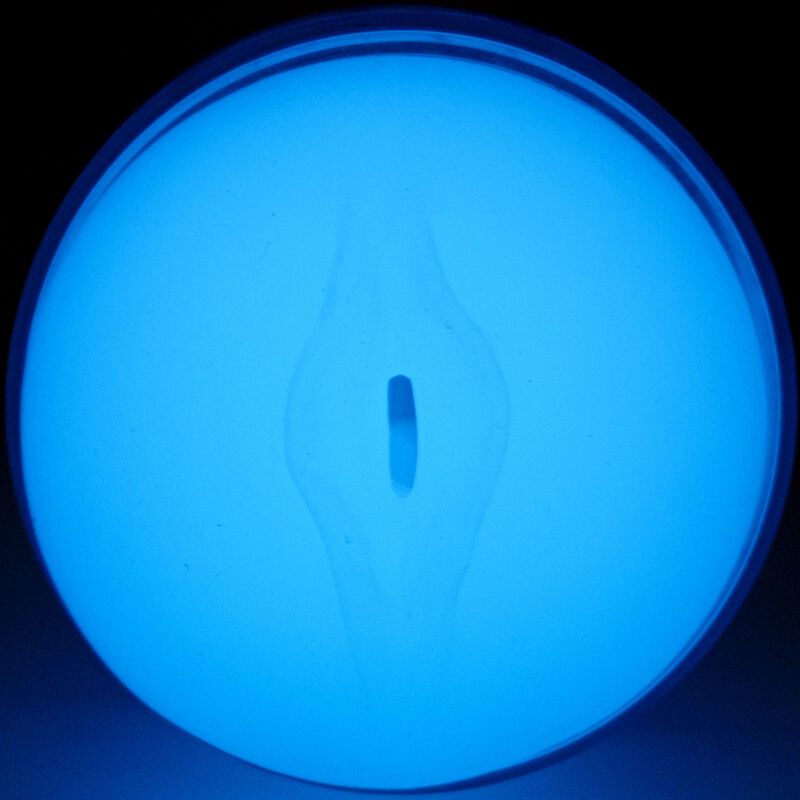 KIIROO - SENTEZ-VOUS BRILLER DANS LE NOIR STROKER