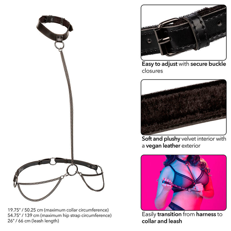CALEXOTICS - EUPHORIA HALTER COLLAR AND CHAIN LEASH PLUS SIZE