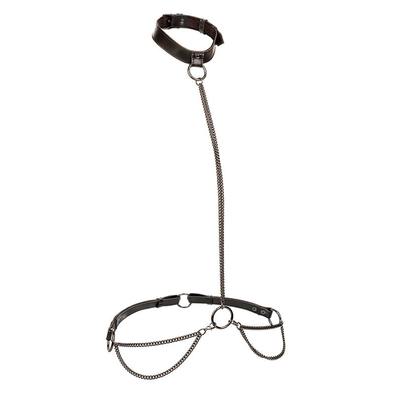 CALEXOTICS - EUPHORIA HALTER COLLAR AND CHAIN LEASH PLUS SIZE