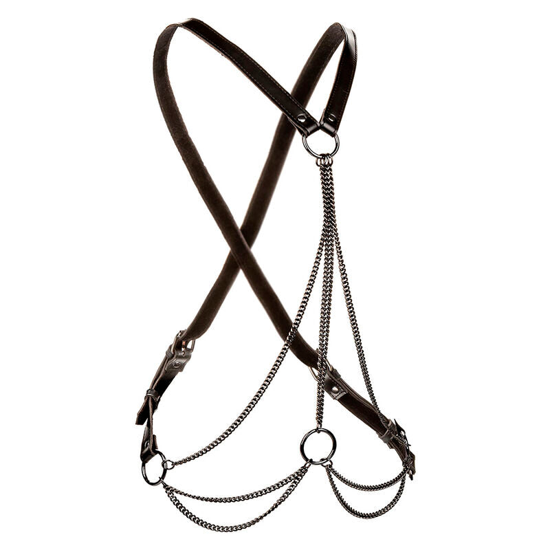 CALEXOTICS - EUPHORIA PREMIUM MULTI-CHAIN HARNESS PLUS SIZE