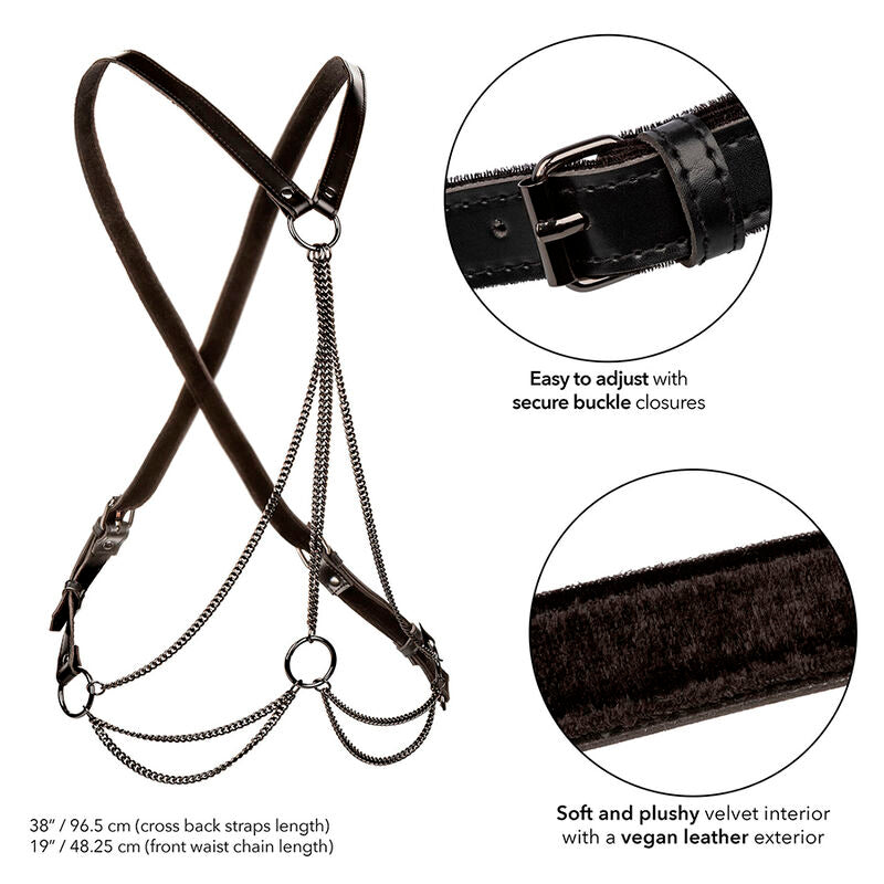 CALEXOTICS - EUPHORIA PREMIUM MULTI-CHAIN HARNESS PLUS SIZE