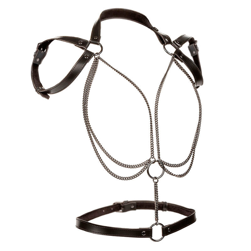 CALEXOTICS - EUPHORIA PREMIUM MULTI-CHAIN HALT HARNESS PLUS SIZE