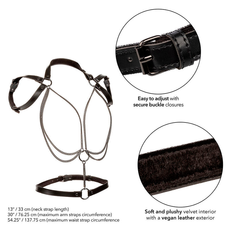 CALEXOTICS - EUPHORIA PREMIUM MULTI-CHAIN HALT HARNESS PLUS SIZE