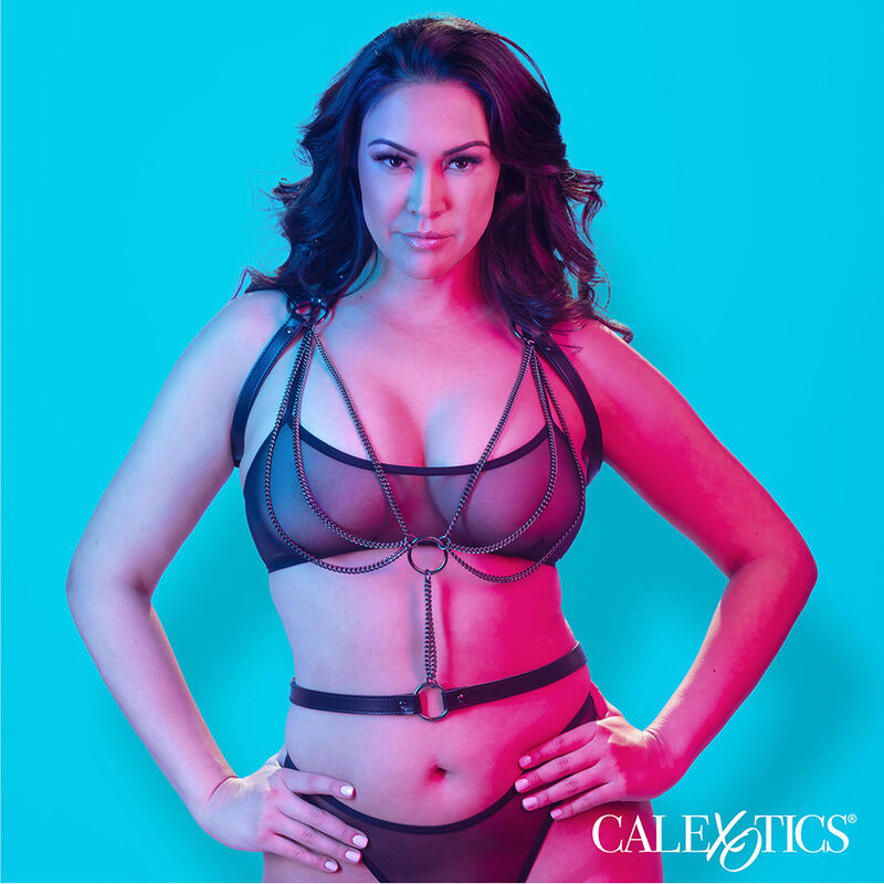 CALEXOTICS - EUPHORIA PREMIUM MULTI-CHAIN HALT HARNESS PLUS SIZE