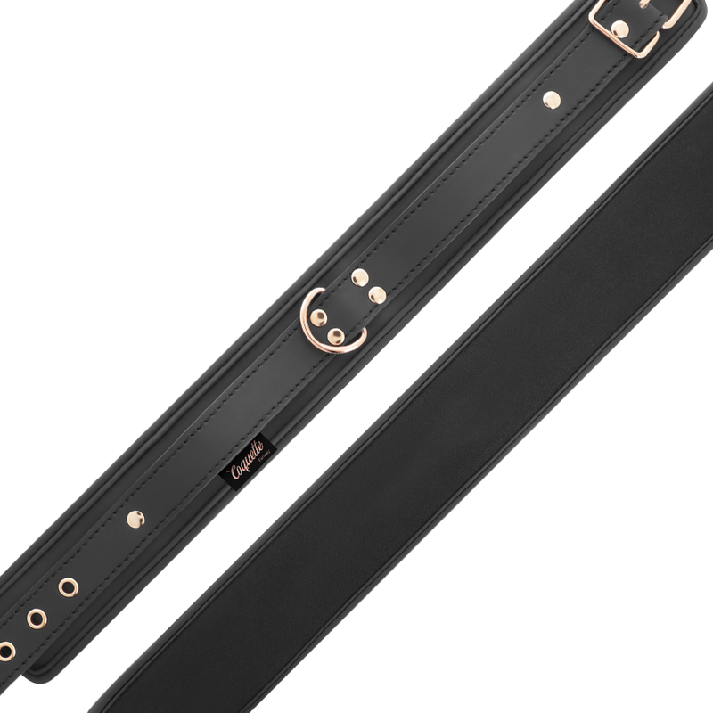COQUETTE CHIC DESIRE - FANTASY VEGAN LEATHER NECKLACE WITH STRAP AND NEOPRENE LINING
