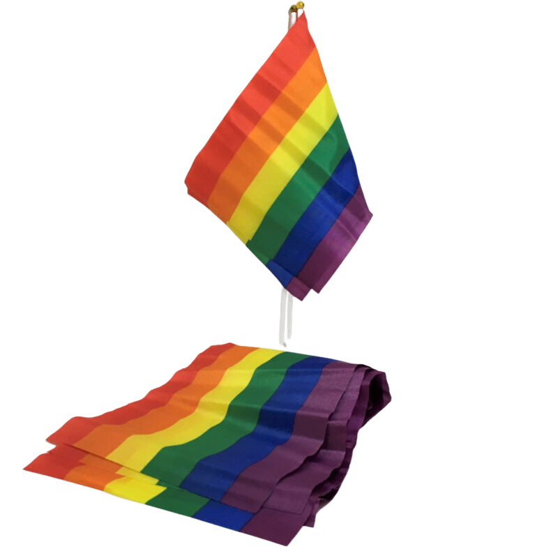 FIERTÉ - PETIT DRAPEAU DRAPEAU LGBT