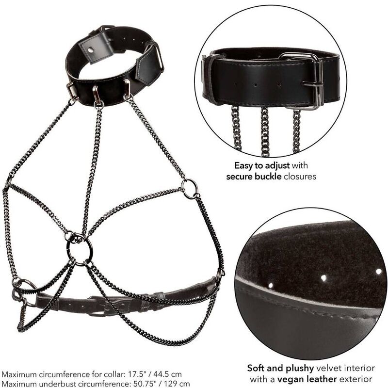 CALEXOTICS - EUPHORIA PLUS SIZE CHAIN ​​NECK HARNESS