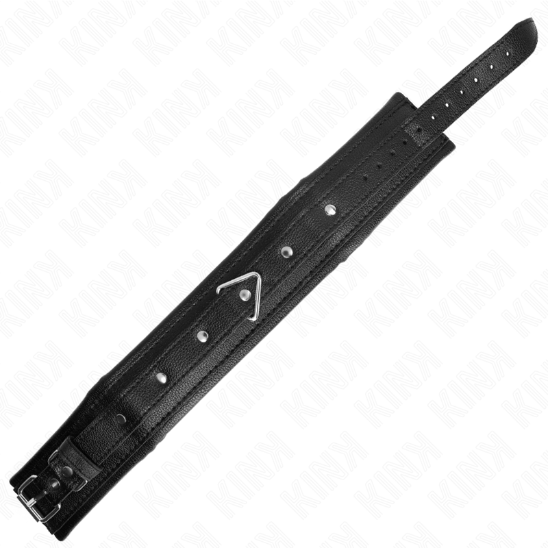 KINK - LEATHERETTE SPONGE COLLAR WITH LEASH MODEL 1 ADJUSTABLE 37-54 CM X 3 CM