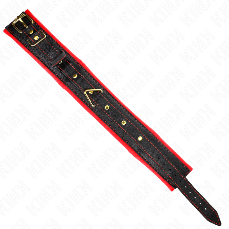 KINK - LEATHERETTE SPONGE COLLAR WITH LEASH MODEL 2 ADJUSTABLE 37-54 CM X 3 CM
