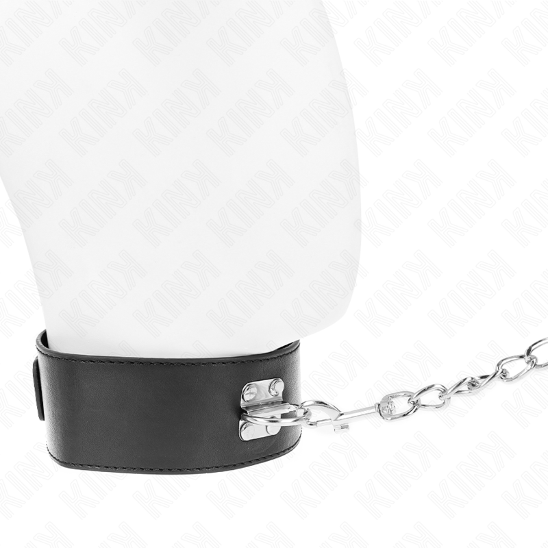 KINK - COLLAR WITH LEASH 65 CM BASIC MODEL MODEL 2